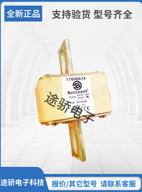 原装巴斯曼Bussmann熔断器170M6612 170M6613 170M6614 170M6615