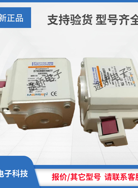 罗兰美尔森熔断器N302094/D72GB55V500TF A302818/D72GB55V550TF