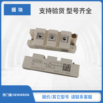 SKM100GAL173D SKM100GAL176D SKM100GAL17E4赛米控IGBT模块现货