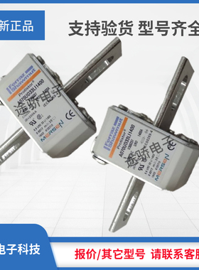 罗兰全新熔断器C300244/A070UD33KI1000 D300245/A070UD33KI110