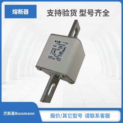 170M4695 170M4696 170M4697 170M5688巴斯曼Bussmann熔断器包邮