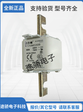 170M3308 170M3309 170M3310 170M3311巴斯曼Bussmann熔断器现货