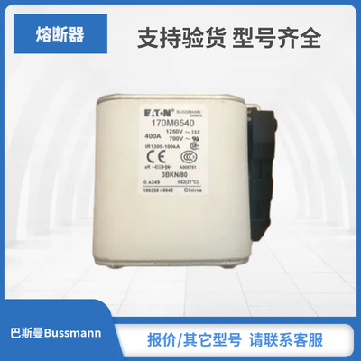 原装巴斯曼Bussmann熔断器现货包邮170M6538 170M6539 170M6540