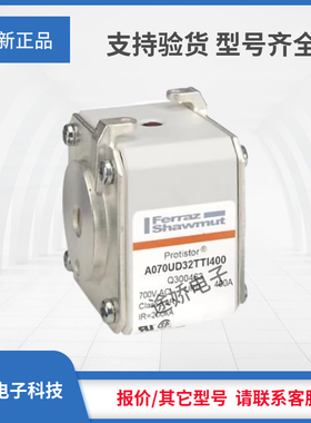 罗兰美尔森熔断器D300199/A070UD32KI630 E300200/A070UD32KI700