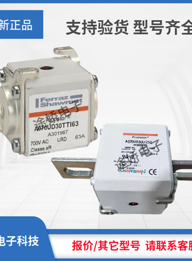 美尔森罗兰熔断器L300137/A070UD30KI400 T301064/A070UD30KI450