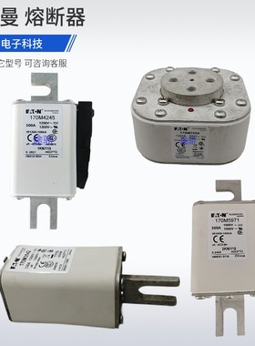 熔断器170M6858/6859/6860/6861/6862/6863/6864/6865/6866/6867