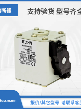 170M5388 170M5389 170M5390 170M5391巴斯曼Bussmann熔断器现货