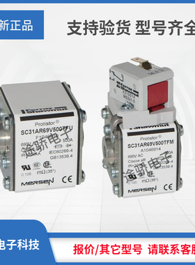 议价Y1046912/SC31AR69V400TFM Z1046913/SC31AR69V450TFM熔断器