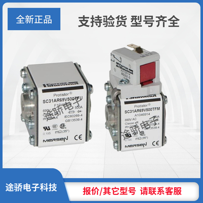 议价Y1046912/SC31AR69V400TFM Z1046913/SC31AR69V450TFM熔断器