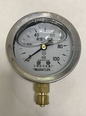 耐震压力表 YN60 100mpa 直径60mm 螺纹m14x1.5 外壳62-69mm 径向