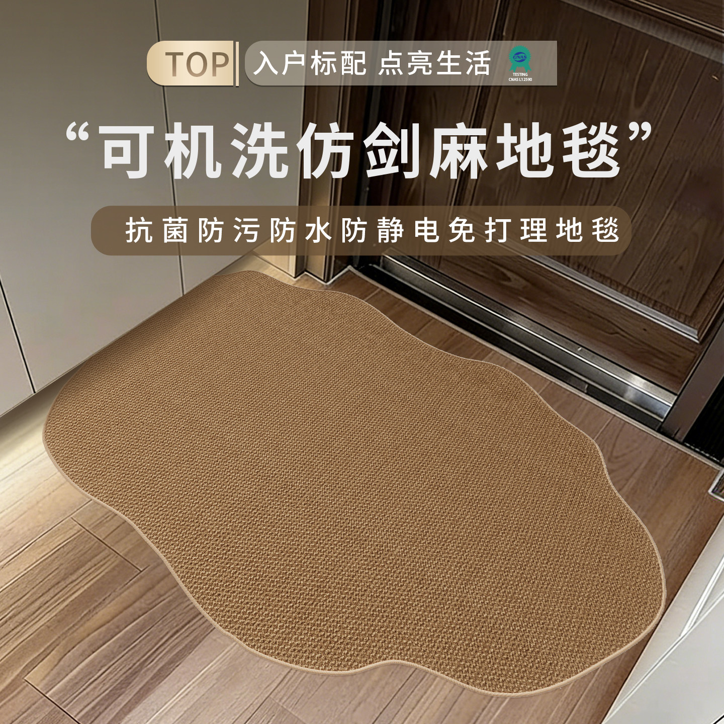 【热卖推荐】仿剑麻入户门地垫图片