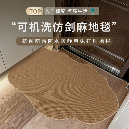 【热卖推荐】仿剑麻入户门地垫