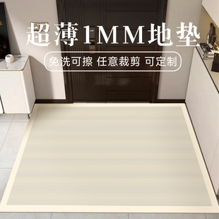 超薄1mm地垫进门口防滑耐磨易打理脚垫家用玄关地毯极薄入户门垫