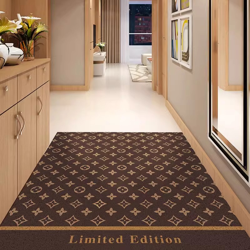 入户门地垫丝圈进门防滑脚垫家用