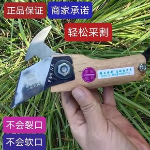 松脂刀采脂刀松香刀正品罗氏松刀橡胶割松油刀新款超薄进口松油刀