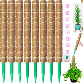 龟背竹支撑杆绿萝攀爬柱椰棕棒绿萝固定架植物爬藤花架棕榈柱椰丝