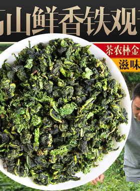 安溪茶农林金土的鲜香铁观音 香高味浓风格 兰花香铁观音新茶500g