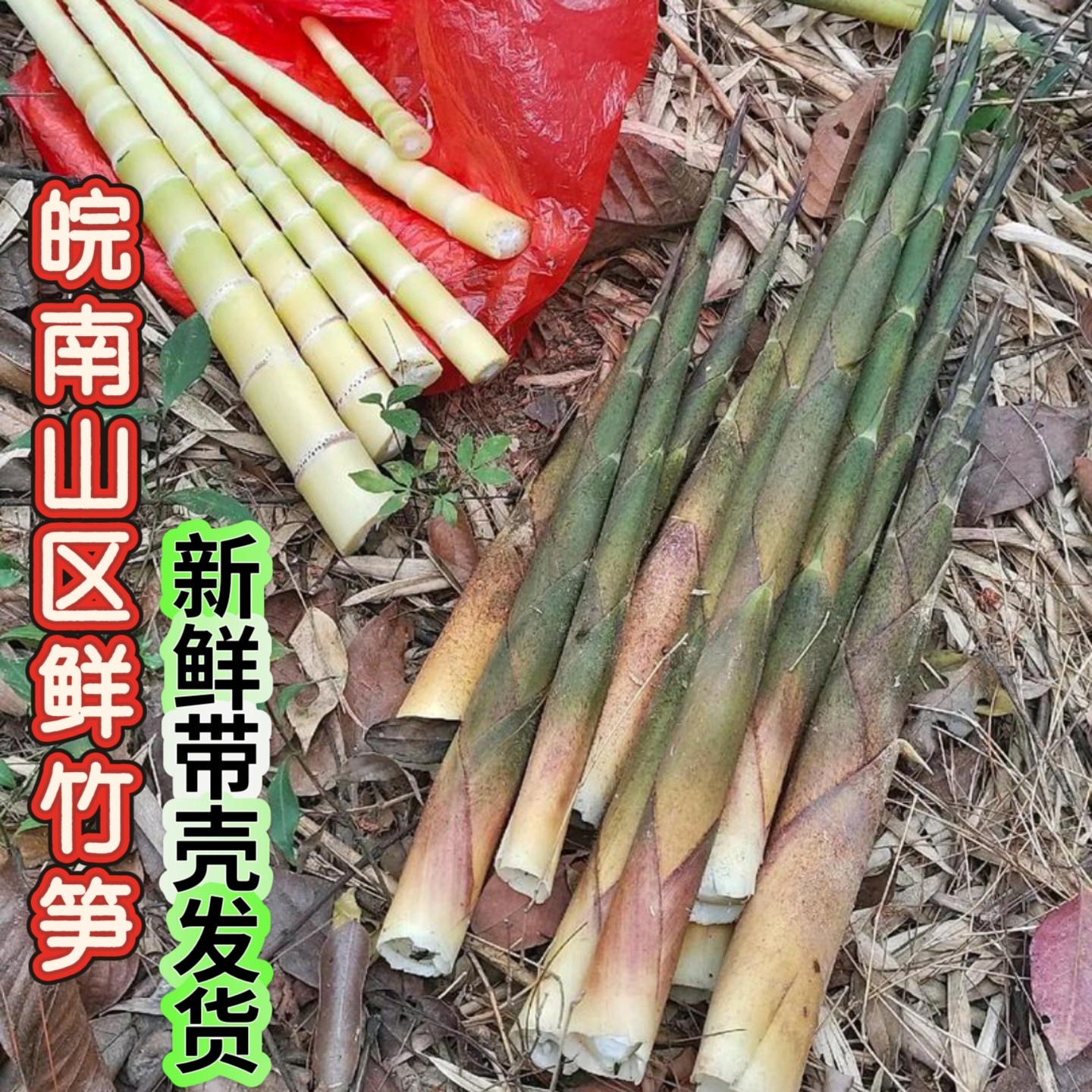 安徽新鲜竹笋现挖野生竹笋带壳当天现挖现发水笋竹笋春笋精选发货