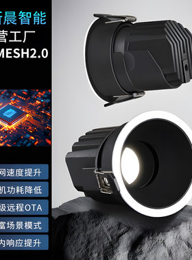 蓝牙mesh2.0智能调光射灯