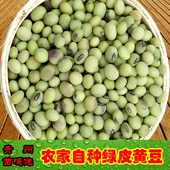 贵州绿皮黄豆老品种豆种2025新货农家留种种植豆芽豆浆非转基因