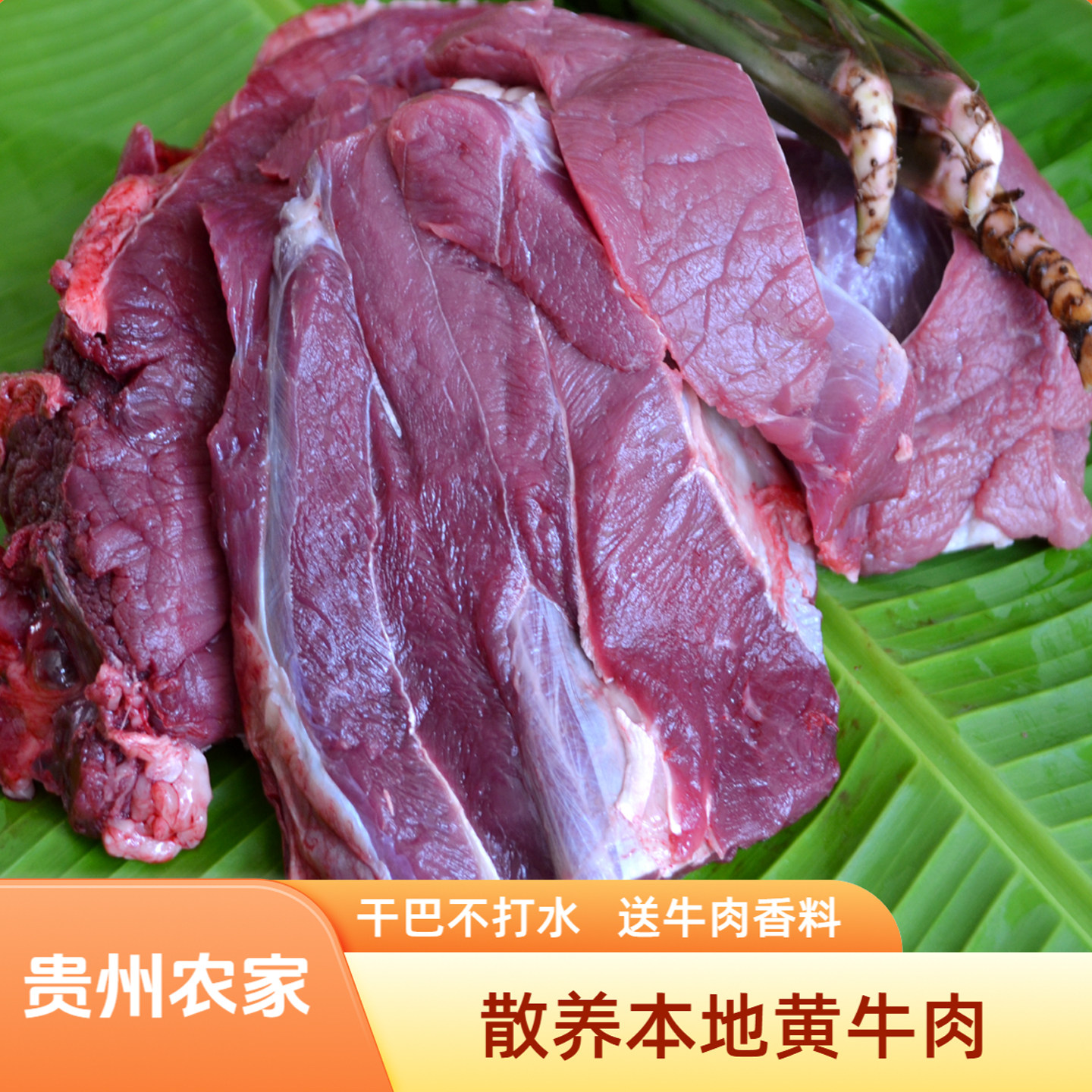 正宗贵州黄牛肉新鲜冰鲜发货现宰散养本地黄牛黔东南特产火锅食材