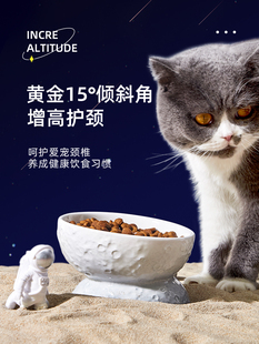 宠物猫碗陶瓷猫咪粮碗高脚保护颈椎狗碗狗盆防打翻饭碗一体喝水碗