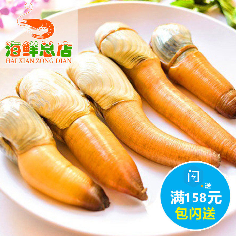 北京闪送野生新鲜海鲜鲜活小象拔蚌 刺身食材 白棒生吃 500克