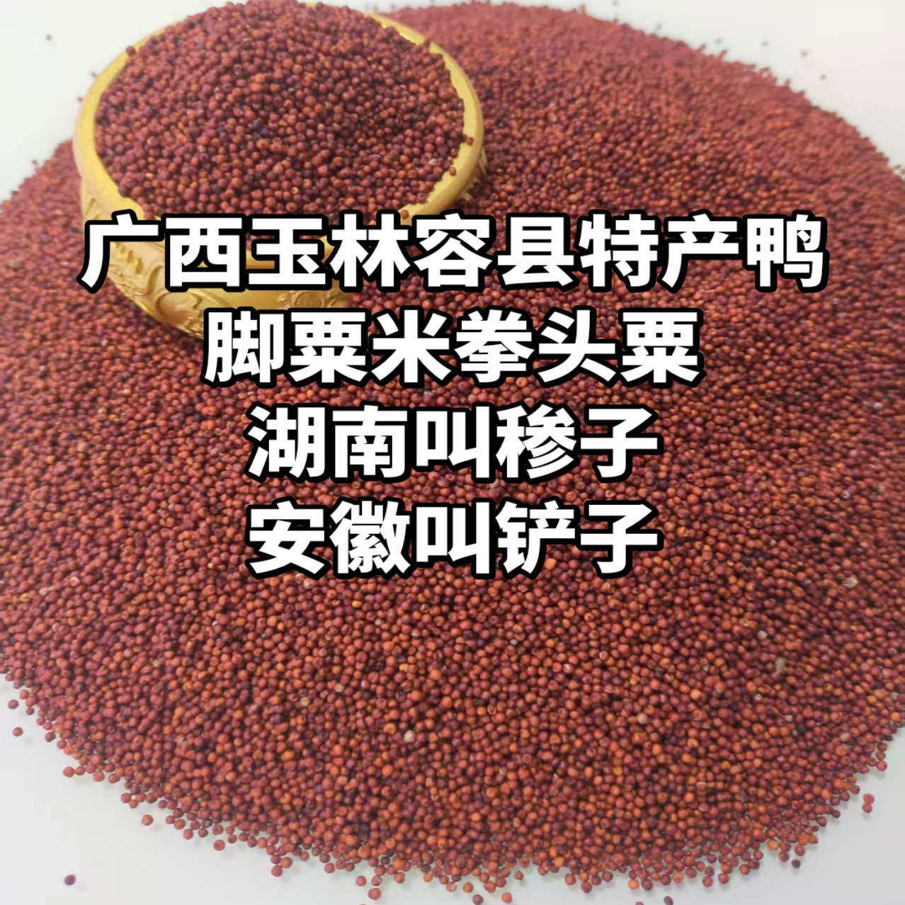 广西矮脚粟米粉狗爪谷粟子粉红稗面农家产品鸭脚粟粟糁子粉杂粮