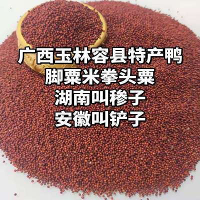 广西矮脚粟米粉狗爪谷粟子粉红稗面农家产品鸭脚粟粟糁子粉杂粮