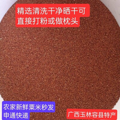 广西精选红粟米粟拳头粟陈年粟新粟狗爪谷农家鸭脚栗米红粟米粉
