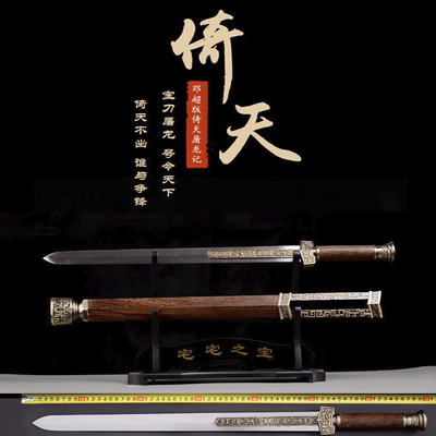 龙泉镇蒋氏宝剑手工武当倚天剑屠龙记影视汉剑战国礼品收藏未开刃
