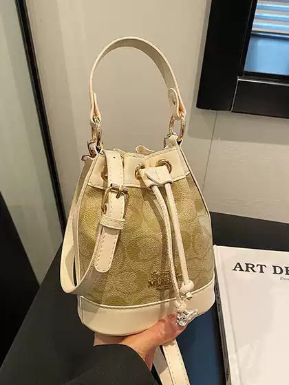 French-Style Niche Bags for Women 2025 Trendy New Fashion High-End Shoulder Crossbody Bag Niche Handbag Bucket Bag