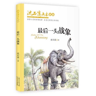 沈石溪画本·新版 包邮 ： 后一头战象 沈石溪长江少年儿童9787556090839 正版 彩色插图版 图书