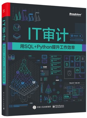 正版图书包邮IT审计(用S L+Python提升工作效率)涂佳兵9787121  3467  工业出版社