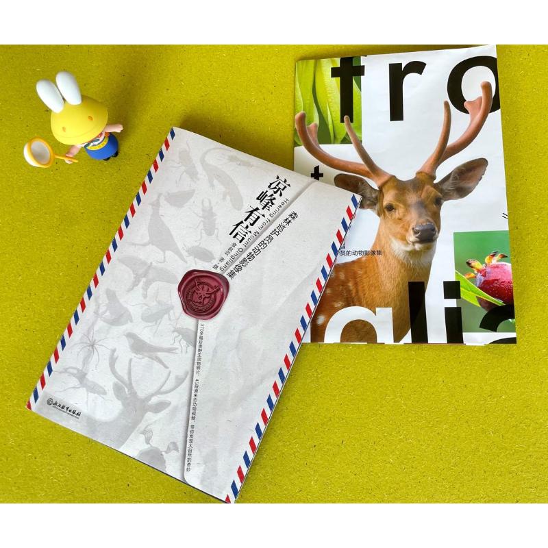 正版图书包邮凉峰有信：森林巡护员的动物影像集章叔岩9787572216091浙江教育出版社