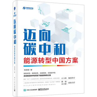 正版图书包邮迈向碳中和 能源转型中国方案肖忠湘9787121401725 工业出版社