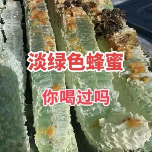 西双版纳特产纯正天然翡翠绿蜂蜜