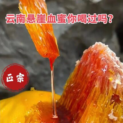 云南特产西双版纳正宗深山纯正蜂蜜血蜜百花蜜自然蜜崖蜜500克/瓶