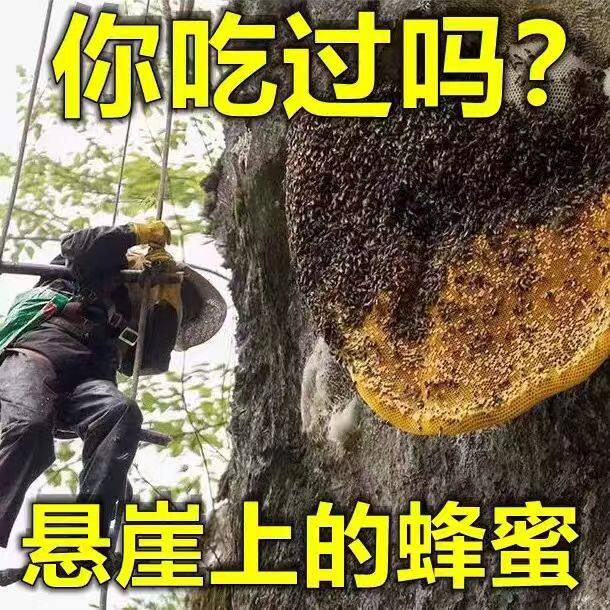 云南特产西双版纳深山纯正野生蜂蜜岩蜜百花蜜自然蜜崖蜜500克/瓶