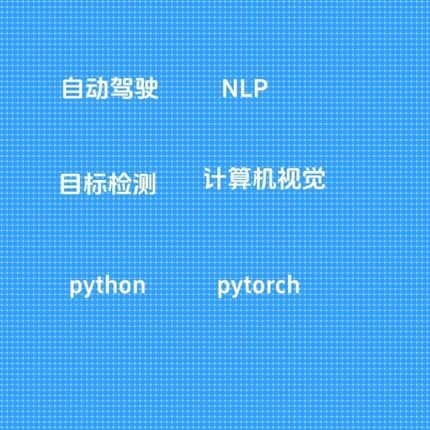 Python深度学习代做目标检测NLP计算机视觉强化学习
