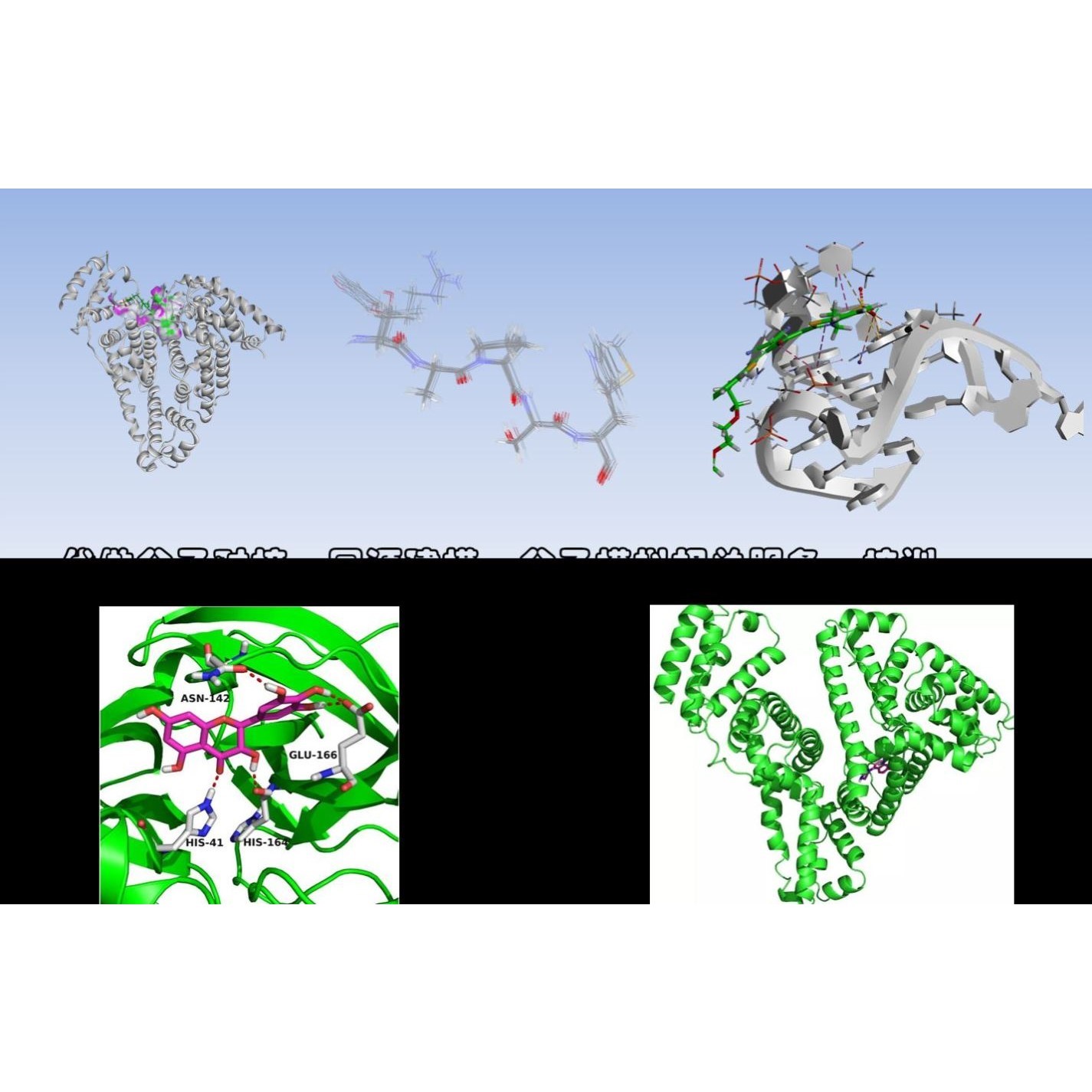 分子对接/同源建模/gmx/DS/Autodock/gromacs/分子动力学模拟/MD