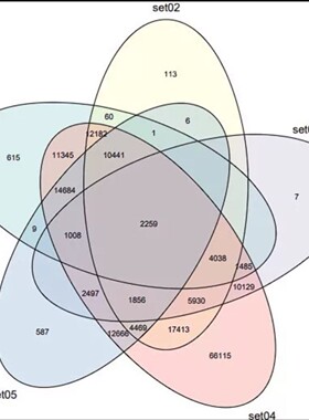 微生物组16s扩增子宏基因组生信分析qiime2物种丰度多样性lefse