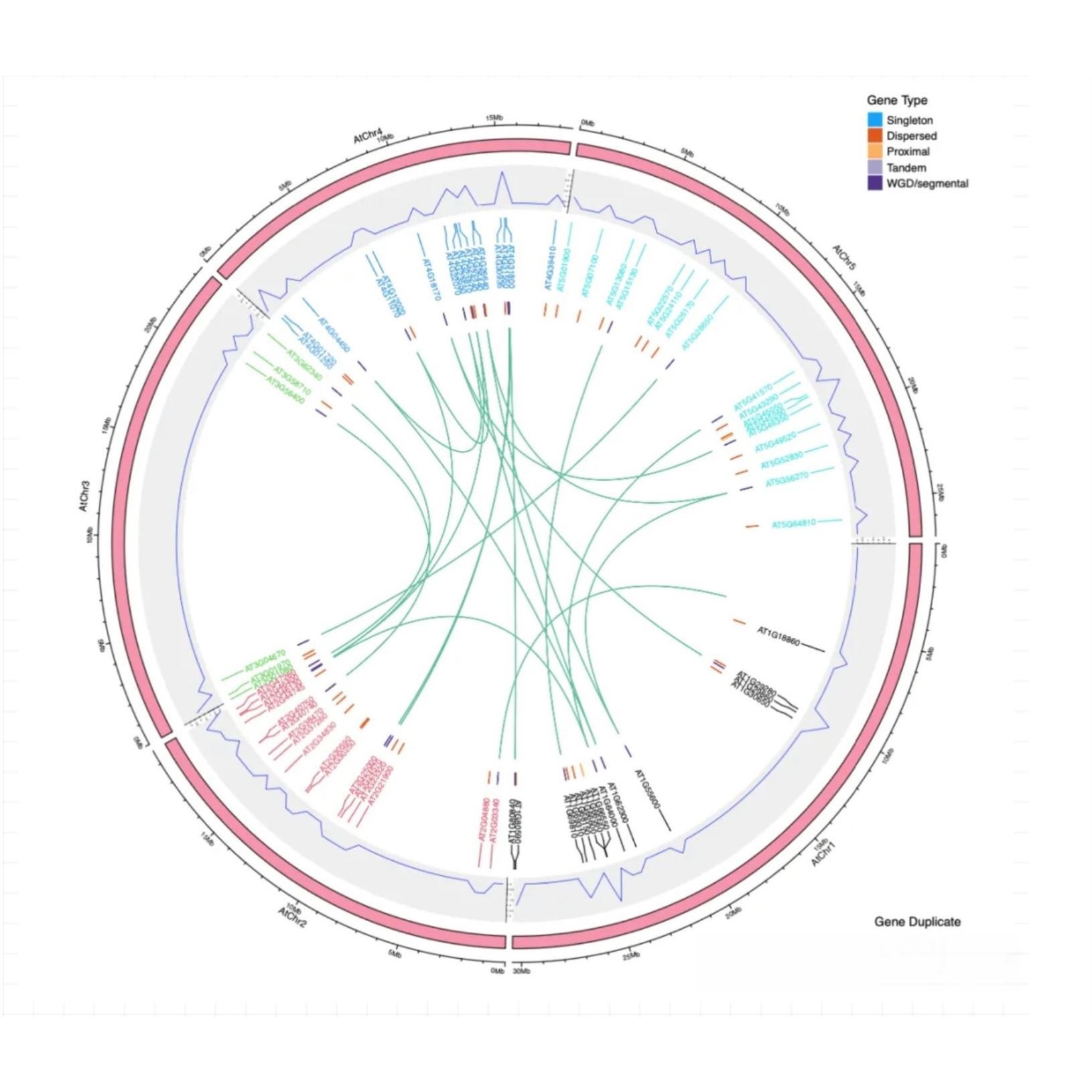 生信分析 2-9分单细胞测序 转录组 数据库挖掘 科研服务