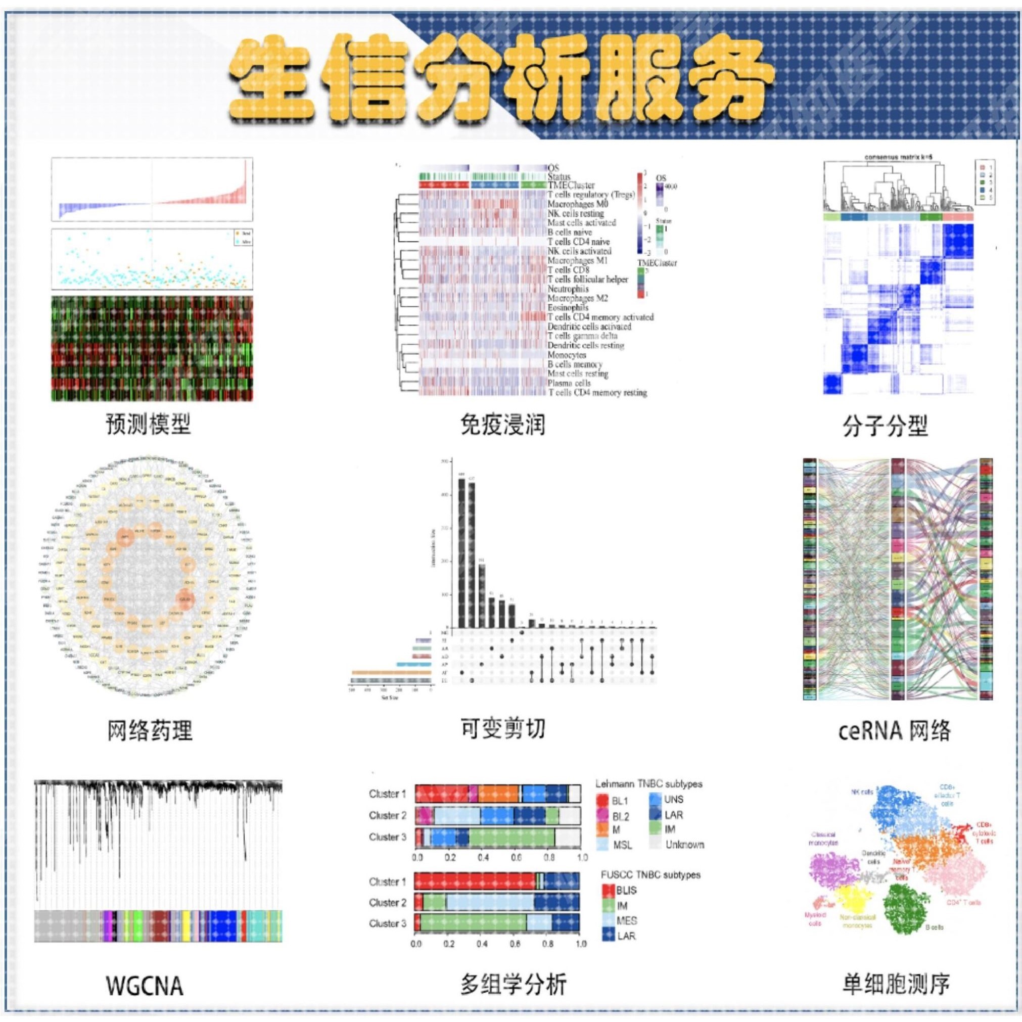生信分析  TCGA GEO SEER 数据库 3-5 分  整体分析