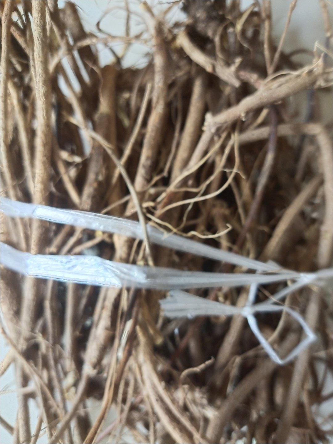 山花根山花子根煮狗羊牛肉佐料 上色红润去腥膻,药用等500克价格