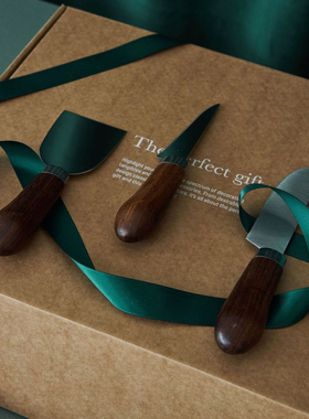 瑞典代购 Sagaform 不锈钢披萨刀比萨滚刀切黄油芝士刀切奶酪刀