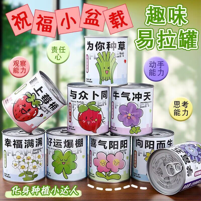 祝福小盆栽趣味易拉罐果味植物种子种植观察动手能力培养儿童玩具