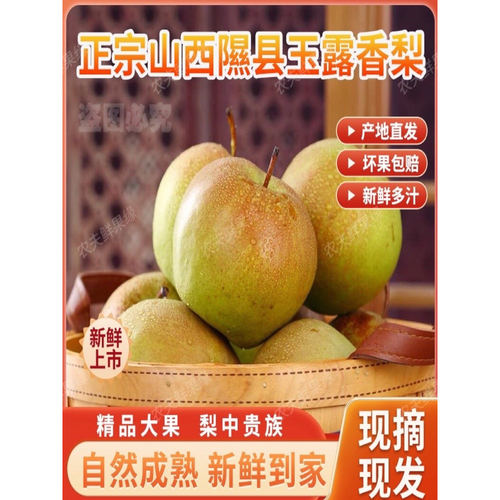 小西天山西隰县玉露香梨子新鲜水果礼盒装孕妇水果皮薄肉厚4.5斤