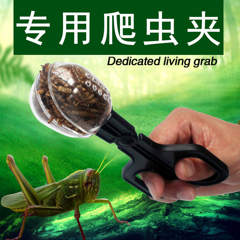 多功能爬虫夹昆虫蟋蟀大麦虫专业喂食夹子捕捉镊子蝎子蜘蛛清粪便