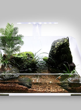 斜面亚克力水族迷你桌面水草缸